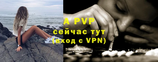сатива Михайловка