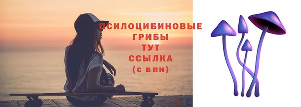 метадон Ладушкин