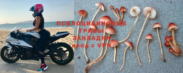 тгк Михайлов