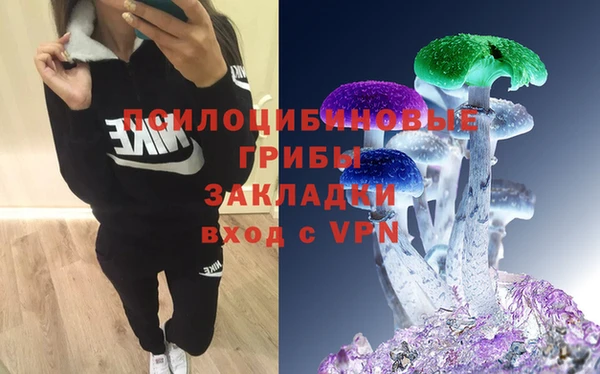 метадон Ладушкин