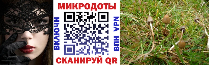 Галлюциногенные грибы GOLDEN TEACHER  Хабаровск 
