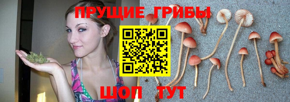 Галлюциногенные грибы Psilocybine cubensis  Хабаровск  Псилоцибиновые грибы MAGIC MUSHROOMS 